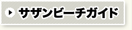 サザンビーチガイド